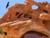 Valley of Fire